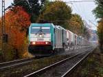 Mit vollgas und viel Sand streuend schleppt am 03.11.2010 Cobra 186 198-8 einen mit LKW-Glasaufliegern beladenen Gterzug die Rampe von Aachen West nach Belgien rauf.