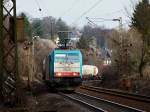 Schwer an der angehangenen Last zu schleppen hat Cobra 186 212 (2820) am 28.01.2011 auf der kurvenreichen Rampe von Aachen West zum Gemmenicher Tunnel, hier auf Hhe Bleibergerstrasse