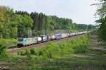 Cobra-Lok 2810 zieht einen langen Containerzug durch den Gemmenicher Wald in Richtung Aachen-West.