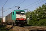 Die Cobra 2809 kommt mit einem gemischten Containerzug von Gemmenicher-Tunnel in Richtung Montzen.