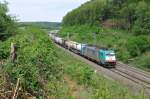 Auf dem Gefllestck zwischen dem Gemmenicher Tunnel und dem Bahnhof Montzen rollt Cobra-Lok 2818 mit ihrem Gterzug fast geruschlos durch den Wald von Gemmenich.