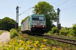 Cobra 2821 mit Schwesterlok als Lokzug unterwegs nach Aachen-West.