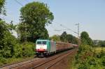 Auch Cobra-Lok 2804 prsentierte sich im besten Licht auf dem Weg hinauf zum Gemmenicher Tunnel zwischen Aachen-West und Montzen.