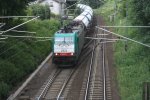 Die Cobra 2822 kommt mit einem Kalkleerzug aus Oberhausen nach Hermalle-Huy(B) und fhrt in den Gemmenicher Tunnel rein aus Richtung Aachen-West bei Sonne.