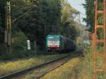 Cobra 186 213 (2821) zieht am 23.09.2011 einen kurzen gemischten Gterzug auf der Rampe der Montzenroute zum Gemmenicher Tunnel hoch.