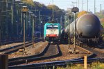 Die Cobra 2823 steht in Aachen-West mit einem Containerzug und wartet auf die Abfahrt nach Belgien bei schnem Herbstwetter.