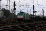 Die Cobra 2842 fhrt mit einem gemischtem Gterzug von Aachen-West nach Antwerpen-Noord(B) am 24.12.2011.