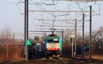 Die Cobra 2822 kommt mit einem Containerzug aus Aachen-West in Richtung Vise und fhrt durch Montzen-Gare(B) bei schnem Sonnenschein am 15.1.2012.