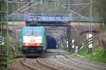 Zwei Cobra 2829 und 2826 kommen aus dem Gemmenicher-Tunnel mit einem Kohlenzug aus Zandvliet(B) nach Mannheim(D) und fahren die Rampe nach Aachen-West hinunter Aufgenommen bei Reinartzkehl am