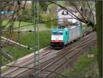 Frhling am Gemmenicher Tunnel.