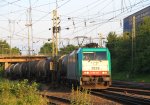 Die Cobra 2828 kommt mit einem Kesselzug aus Antwerpen-BASF nach Ludwigshafen-BASF  und fhrt in Aachen-West ein bei Abendsonne am 2.6.2012.