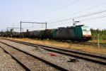 Nochmal die Cobra 2829 kommt durch Montzen-Gare(B) mit einem Kesselzug aus Aachen-West und fhrt nach Antwerpen-BASF(B) bei 39 Grad am 19.8.2012.