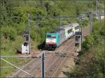 Die 2830 unterwegs auf der Montzenroute bei Botzelaer am 29.August 2012.