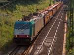 An einen Juliabend 2012 gelang mir diese Aufnahme am Gemmenicher Tunnel bei  Reinhartzkehl (Kr.Aachen).