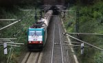 Die Cobra 2824 kommt aus dem Gemmenicher-Tunnel mit einem Kesselzug aus Antwerpen-BASF(B) nach Ludwigshafen-BASF und fahren die Gemmenicher-Rampe herunter nach Aachen-West bei Herbstwetter.