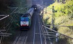 Die Cobra 2841 kommt aus dem Gemmenicher-Tunnel mit einem Kesselzug aus  Antwerpen-Kanaaldok(B) nach Millingen und fhrt die Gemmenicher-Rampe herunter nach Aachen-West bei schnem Herbstwetter.