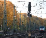 Die Cobra 2841 steht in Aachen-West mit einem Containerzug und wartet auf die Abfahrt nach Antwerpen-Combinant(B).