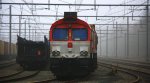 Die Class 66 DE6310  Griet  von Crossrail steht in Montzen-Gare(B) mit einem sehr langen MSC-Containerzug im Nebel am 6.1.2013.