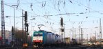 Die Cobra 2831 fhrt mit einem Containerzug aus Gallarate(I) nach Antwerpen-Oorderen(B) bei der Ausfahrt aus Aachen-West und fhrt in Richtung Montzen/Belgien bei strahlend blauem Himmel am 13.1.2013.