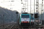 Die Cobra 2810 steht in Aachen-West und wartet auf die Abfahrt nach Belgien mit einem langen gemischten Gterzug aus Osnabrck nach Kortenberg-Goederen(B) in der Abendstimmung am 23.4.2013.