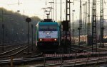 Die Cobra 2814 steht in Aachen-West und wartet auf die Abfahrt nach Belgien mit einem langen gemischten Gterzug aus Osnabrck nach Kortenberg-Goederen(B) in der Abendsonne am 25.4.2013.