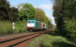 Die Cobra 2814 kommt aus Aachen-West und fhrt die Gemmenicher-Rampe hochgefahren mit Zwei 1810 und 1809 beide von SNCB von Aachen-West nach Belgien.