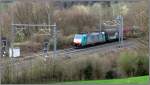 Am frhen Abend ist dieser Gterzug, mit der 2806 als Zugpferd, unterwegs bei Botzelaer auf der Montzenroute in Richtung Tongeren.