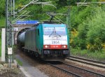 Die Cobra 2804  kommt aus dem Gemmenicher-Tunnel(B) mit einem langen gemischten Gterzug aus Kln-Gremberg nach Antwerpen-Noord(B) aus Richtung Aachen-West und fhrt in Richtung Montzen-Vise bei