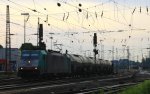 Die Cobra 2826 fhrt mit einem langen Kesselzug aus Ludwigshafen-BASF nach Antwerpen-BASF(B) bei der Abfahrt aus Aachen-West und fhrt in Richtung Montzen/Belgien in der Abendstimmung am 18.6.2013.