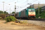 Zwei Cobra 2841 und 2808 kommen mit einem langen Kalkzug aus Yves-Gomeze(B) nach Millingen und fahren in Aachen-West ein in der Abendsonne am einem schnem Sommerabend am 17.7.2013.