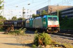 Zwei Cobra 2807 und 2830 kommen mit einem langen Kalkzug aus Yves-Gomeze(B) nach Millingen und fahren in Aachen-West ein in der Abendsonne am einem schnem Sommerabend am 12.8.2013.