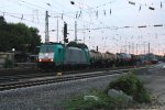 Die Cobra 2805 fhrt mit einem langen Kesselzug aus Ludwigshafen-BASF nach Antwerpen-BASF(B) bei der Ausfahrt aus Aachen-West und fhrt in Richtung Montzen/Belgien in der Abendstimmung am 2.9.2013.