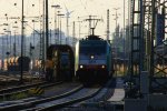 Die Cobra 2811 fhrt mit einem langen Containerzug aus Gallarate(I) nach Zeebrugge(B) bei der Ausfahrt aus Aachen-West und fhrt in Richtung Montzen/Belgien am einem schnem Sommmerabend und in der