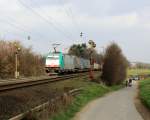 Die Cobra 2814 kommt aus Richtung Aachen-West und fährt die Gemmenicher-Rampe hochgefahren mit einem langen Containerzug aus Gallarate(I) nach Antwerpen-Oorderen(B) und fährt in Richtung Montzen/Belgien. Aufgenommen an der Montzenroute am Gemmenicher-Weg bei schönem Sonnenschein am Nachmittag vom 16.3.2014. 