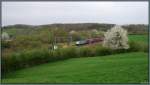 Frühling an der Montzenroute bei Nouvelaer in Belgien.