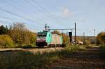 Mit einem gemischten Güterzug am Haken kommt Cobra-Lok 2810 von Aachen-West in Richtung Visé, hier aufgenommen am 08/11/2014 bei Remersdael.