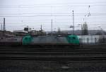 Die Cobra 2838 fährt mit einem langen Containerzug aus Gallarate(I) nach Antwerpen-Oorderen(B), aufgenommen bei der Ausfahrt aus Aachen-West in Richtung Montzen/Belgien.