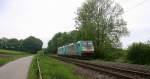 Ein Nachschuss von zwei Cobra 2834 und 2816 sie fahren als Lokzug von Aachen-West nach Belgien.