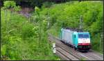 Gut getarnt schleicht die belgische Cobra die Montzenroute hinauf,gleich wird sie in den Gemmenicher Tunnel verschwinden.