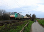 Die Cobra 2837 kommt aus Richtung Aachen-West und fährt die Gemmenicher-Rampe hoch mit einem Containerzug aus Verona(I) nach Antwerpen-Combinant(B) und fährt in Richtung Montzen/Belgien.