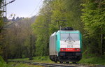 Ein Nachschuss von der Cobra 2838 sie fährt als Lokzug aus Aachen-West nach Belgien und fährt die Gemmenicher-Rampe hoch.