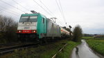 Die Cobra 2841  kommt die Gemmenicher-Rampe auf dem falschen Gleis hochgefahren aus Richtung Aachen-West mit einem langen gemischten Güterzug aus Köln-Gremberg(D) nach Antwerpen-Noord(B) und
