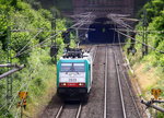 Die Cobra 2829 kommt als Lokzug aus Belgien nach Aachen-West und kam aus dem Gemmenicher-Tunnel und fährt die Gemmenicher-Rampe herunter nach Aachen-West.