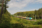 Am Nachmittag des 21/08/2011 zog 186 212 alias 2820 einen Kesselwagenzug durch den Gemmenicher Wald in Richtung Montzen.