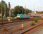 Die Cobra 2837 rangiert in Aachen-West.
Aufgenommen vom Bahnsteig in Aachen-West. 
In der Abendstimmung am Abend vom 6.7.2018.