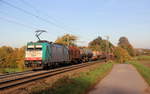 Die Cobra 2816 kommt aus Richtung Aachen-West und fährt die Gemmenicher-Rampe hoch mit einem gemischten Güterzug aus Köln-Gremberg(D) nach Antwerpen-Noord(B) und fährt in Richtung