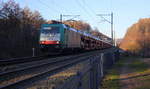 Die Cobra 2821 kommt mit einem  Mercedes-Zug aus Kornwestheim(D) nach Zeebrugge-Ramskapelle(B) und kommt aus Richtung Aachen-West(D) und fährt durch den Gemmenicher-Wald(B) in Richtung