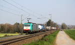 Die Cobra 2842 kommt aus Richtung Aachen-West und fährt die Gemmenicher-Rampe hochgefahren mit einem langen Containerzug aus Gallarate(I) nach Antwerpen-Oorderen(B) und fährt in Richtung Montzen/Belgien. 
Aufgenommen an der Montzenroute am Gemmenicher-Weg. 
Bei schönem Frühlingswetter am Nachmittag vom 31.3.2019.