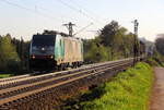 Die Cobra 2831 kommt als Lokzug von Aachen-West(D) nach Antwerpen-Noord(B) und fährt die Gemmenicher-Rampe hoch.