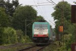 Drei Cobra 2828,2814,2824 kommen als Lokzug aus Richtung Montzen und fahren nach Aachen-West bei Sonne.
Aufgenomen am Gemmenicher-Weg.
28.5.2011